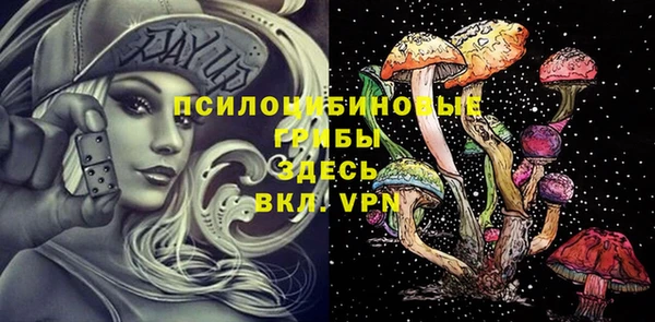 индика Алзамай