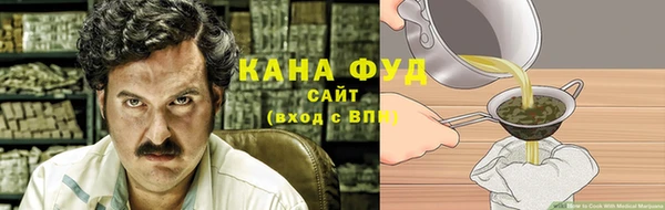 гашик Алексеевка