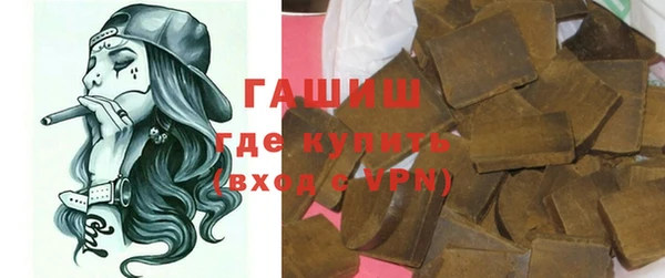 индика Алзамай