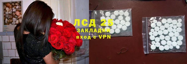 гашик Алексеевка