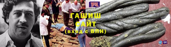 прущие грибы Горно-Алтайск