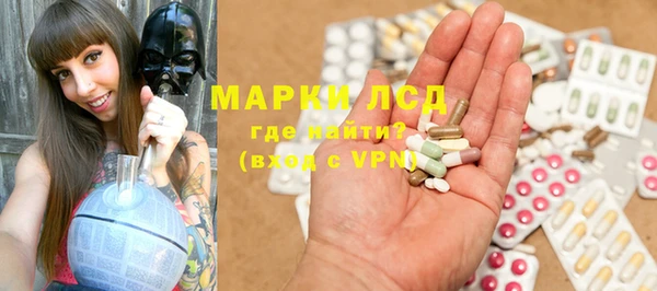 индика Алзамай