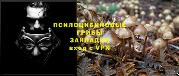 эйфоретик Алексин